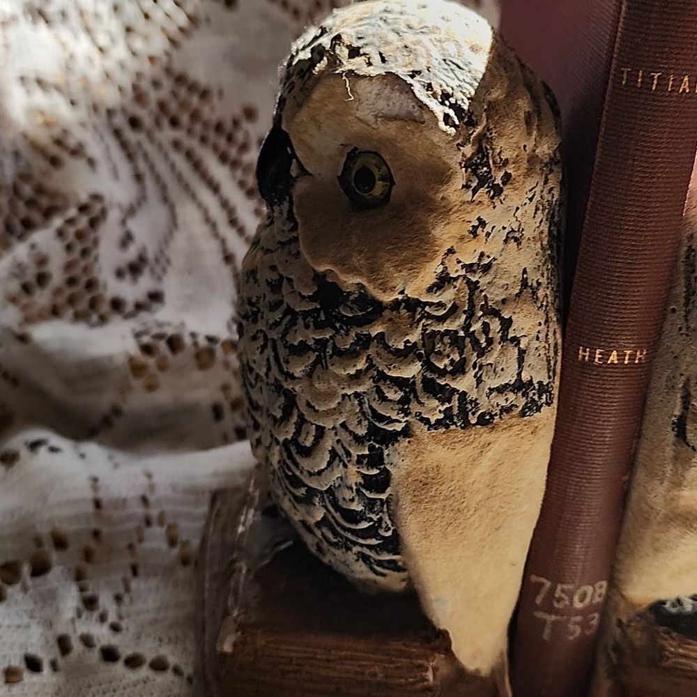 Chippy Chalkware Knowledge Owl Bookends - Picture 10 of 13